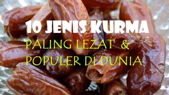 Jenis Kurma Basah Yang Enak