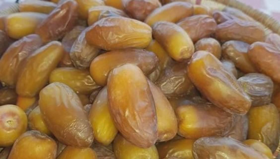 Suhu Terbaik untuk Kurma Basah