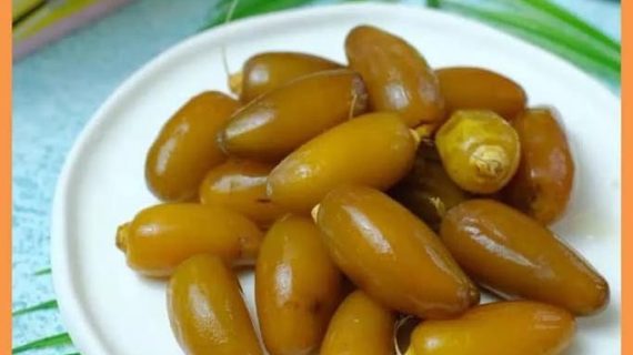 Harga Kurma Ruthob 1 Kg Berkualitas Premium Fresh from Timur Tengah