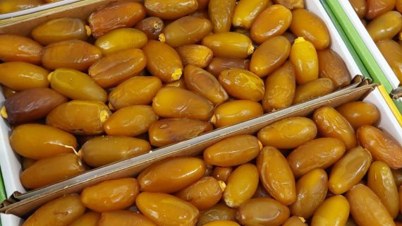 Harga Kurma 1 Kotak : Kualitas Premium dari Ruthob Rayan